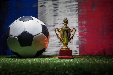 Fransa bayrağı, şampiyon bir altın kupa ve futbol topu çimenlerin üzerinde. Konsept spor. Seçici odak
