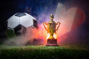 Fransa bayrağı, şampiyon bir altın kupa ve futbol topu çimenlerin üzerinde. Konsept spor. Seçici odak