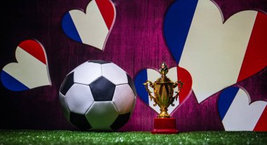 Fransa bayrağı, şampiyon bir altın kupa ve futbol topu çimenlerin üzerinde. Konsept spor. Seçici odak