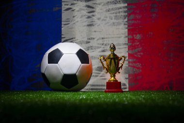 Fransa bayrağı, şampiyon bir altın kupa ve futbol topu çimenlerin üzerinde. Konsept spor. Seçici odak