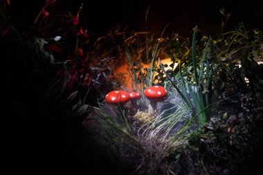 Üç kırmızı mantar. Fantezi mantar gizem karanlık ormanın yakın çekim içinde parlayan. Sihirli mantar, mantar güzel makro çekim. Sinek mantarı, sinek Agaric yosun orman içinde. Seçici odak