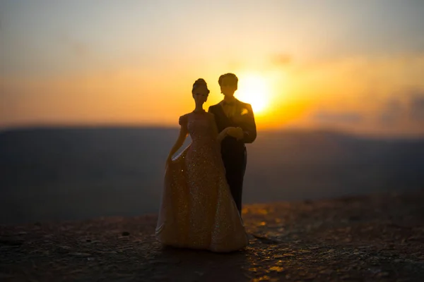 婚礼情侣雕像的剪影牵手一起在日落与黄昏的天空背景 婚礼的概念 选择性聚焦 — 图库照片