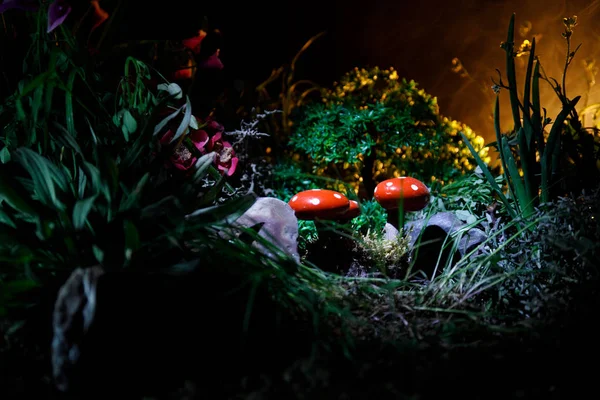 Three red mushrooms. Fantasy Glowing Mushrooms in mystery dark forest close-up. Beautiful macro shot of magic mushroom, fungus. Amanita muscaria, Fly Agaric in moss in forest. Selective focus