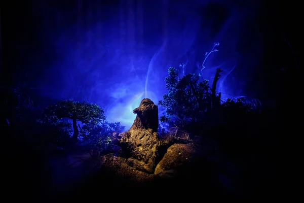 Orman Geceleri Korkunç Şekilde Korku Silüeti Dişi Şeytan Şeytanlar Geliyor — Stok fotoğraf