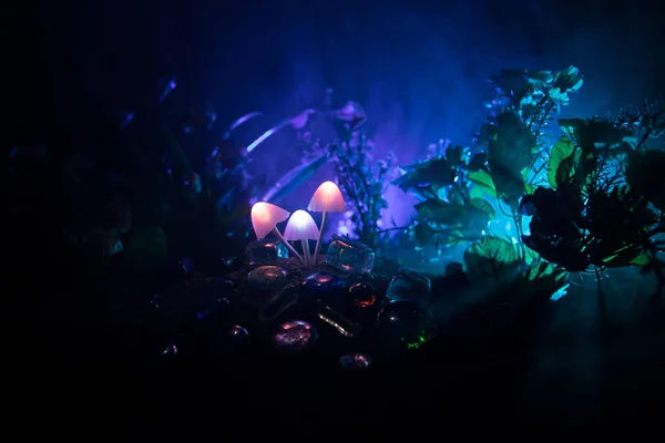 三梦幻般发光的蘑菇在神秘的黑暗森林特写 美丽的魔力蘑菇镜头或三灵魂丢失在阿凡达森林 背景上有雾的仙女灯 选择性聚焦 — 图库照片