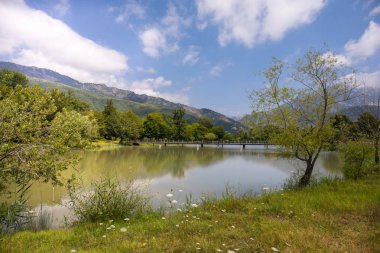 Güzel manzara ormanlık dağlar gölde ya da güzel orman göl yaz saati sabah. Azerbaycan doğa.