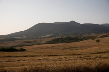 Dağlar ve Kafkasya'da orman yaz, görkemli manzara. Dramatik gökyüzü bulutlu. Azerbaycan