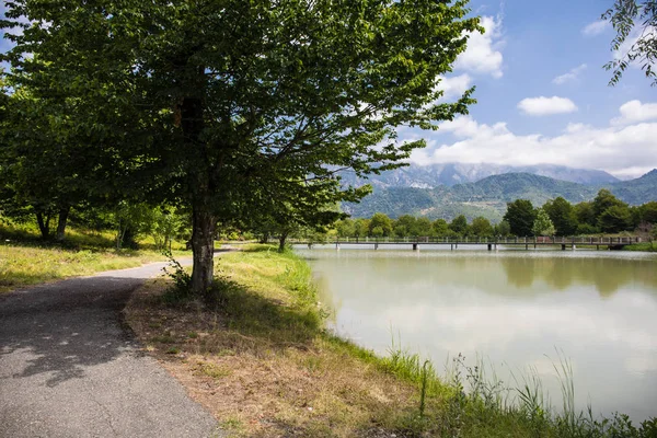 Beautiful Landscape Forest Lake Mountains Beautiful Forest Lake Morning Summer — Stock Photo, Image