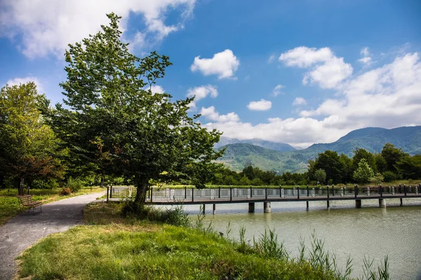 Beautiful Landscape Forest Lake Mountains Beautiful Forest Lake Morning Summer — Stock Photo, Image