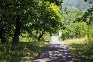 Gün batımı veya orman ortamındaki gündoğumu. Doğal güneş ışığı ile güneş güneş ve güneş ışınları yaz ormandaki orman ağaçları ile. Güzel doğal görünümü. Doğa, Azerbaycan
