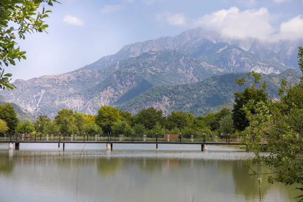 Beautiful Landscape Forest Lake Mountains Beautiful Forest Lake Morning Summer — Stock Photo, Image