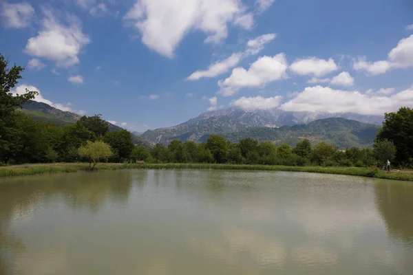 Beautiful Landscape Forest Lake Mountains Beautiful Forest Lake Morning Summer — Stock Photo, Image