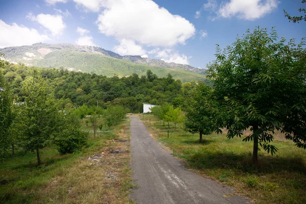 Bela Paisagem Montanhas Floresta Com Edifícios Verão Azerbaijão — Fotografia de Stock