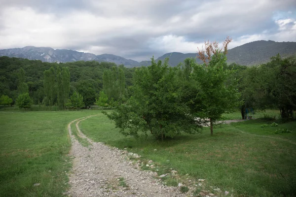 Majestosa Paisagem Das Montanhas Floresta Cáucaso Verão Céu Dramático Com — Fotografia de Stock
