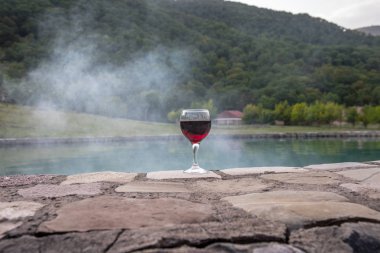 Havuz içinde uzun bardak içki. Ferahlık yaz gününde. Mor suyu kokteyl veya asma. Dağ orman arka plan. Seçici odak