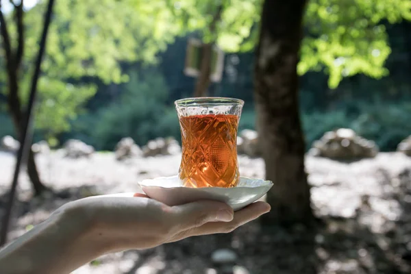 Východní Černý Čaj Skle Ženské Ruce Lese Koncept Východní Čaj — Stock fotografie