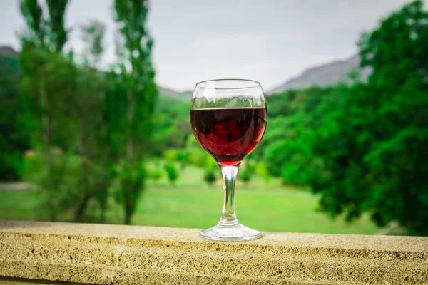 Picknick Freien Mit Wein Oder Einem Glas Wein Auf Dem — Stockfoto