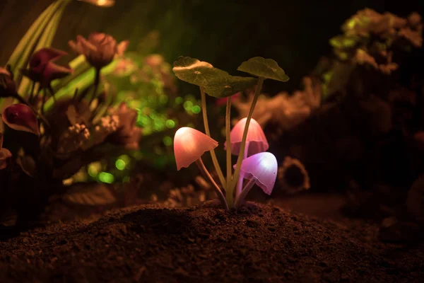 Três Cogumelos Brilhantes Fantasia Mistério Floresta Escura Close Belo Tiro — Fotografia de Stock