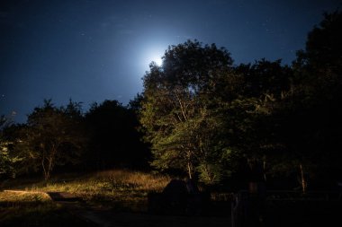Dolunay gecesi ormanın içinden geçen Dağ Yolu. Koyu mavi gökyüzü ve ay manzarası