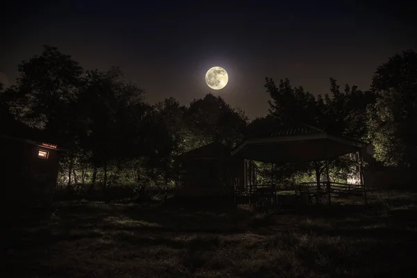 Гірський Нічний Пейзаж Будівлі Лісі Вночі Місяцем Або Старовинним Заміським — стокове фото