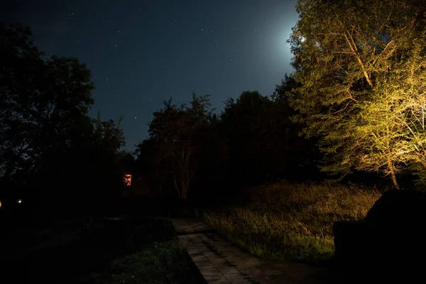 Paisaje Nocturno Montaña Edificio Bosque Por Noche Con Luna Casa — Foto de Stock