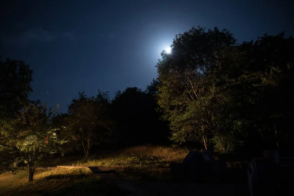 Dolunay gecesi ormanın içinden geçen Dağ Yolu. Koyu mavi gökyüzü ve ay manzarası