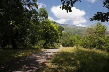 Gün batımı veya orman ortamındaki gündoğumu. Doğal güneş ışığı ile güneş güneş ve güneş ışınları yaz ormandaki orman ağaçları ile. Güzel doğal görünümü. Doğa, Azerbaycan