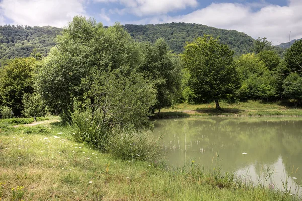 Güzel manzara ormanlık dağlar gölde ya da güzel orman göl yaz saati sabah. Azerbaycan doğa.