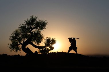 Savaşçı bir kılıç siluet bir gökyüzü ninja ile. Samuray ağaç günbatımı arka plan üzerinde dağın zirvesinde. Seçici odak