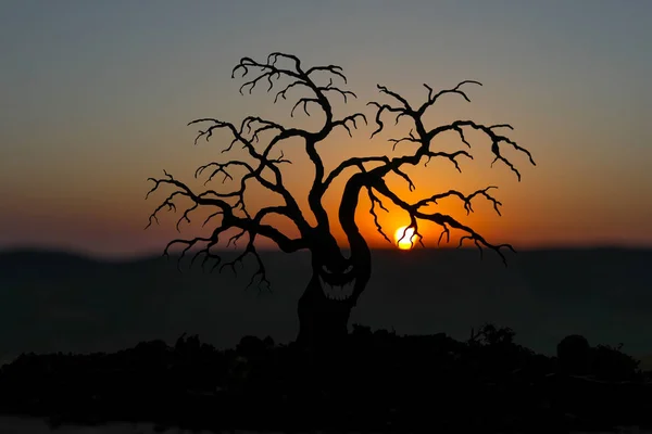 Silhouette of scary Halloween tree with horror face on orange sunset background . Scary horror tree with zombie and monster demon faces.