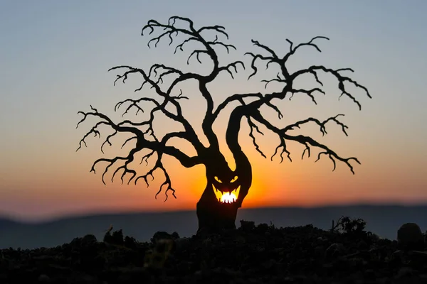 Silhouette of scary Halloween tree with horror face on orange sunset background . Scary horror tree with zombie and monster demon faces.