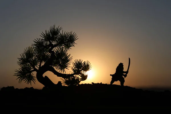 Combattente Con Una Sagoma Spada Ninja Cielo Samurai Cima Alla — Foto Stock