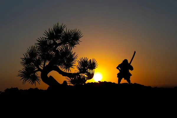 Bojovník Mečem Silueta Sky Ninja Samuraj Vrcholu Hory Stromem Slunce — Stock fotografie