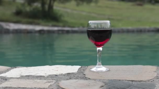 在池畔的高高的玻璃杯里喝 夏日的茶点 紫色果汁鸡尾酒或藤蔓 山森林背景 选择性聚焦 — 图库视频影像
