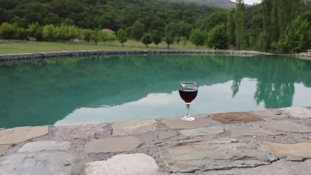 Beba Vidro Alto Beira Piscina Refrescamento Dia Verão Coquetel Suco — Vídeo de Stock