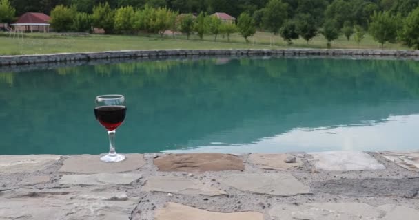 Beber Vaso Alto Junto Piscina Refresco Día Verano Cóctel Jugo — Vídeo de stock