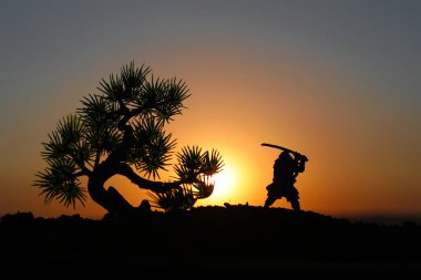 Savaşçı bir kılıç siluet bir gökyüzü ninja ile. Samuray ağaç günbatımı arka plan üzerinde dağın zirvesinde. Seçici odak
