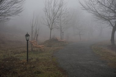 Boş tezgah Parkı yakınındaki göl kenarında sisli gün, minimalist soğuk sezon sahne. tezgah ormandaki siste gölde. Tezgah yakın göl sis. Azerbaycan doğa. Caucasus