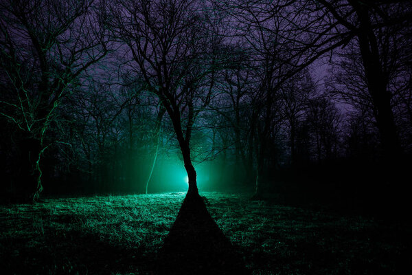 Strange light in a dark forest at night. Silhouette of person standing in the dark forest with light. Dark night in forest at fog time. Surreal night forest scene. Horror halloween concept. Fairytale