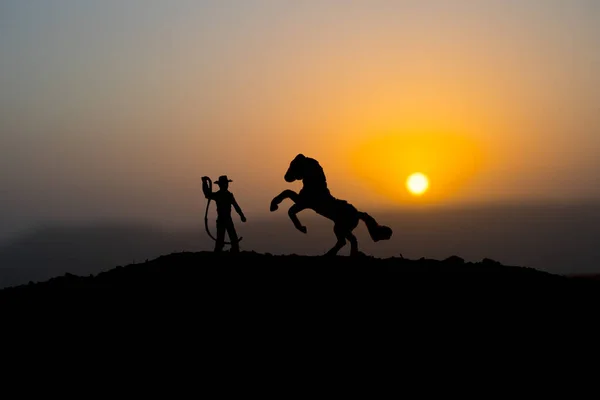 Conceito Cowboy Silhueta Cowboy Com Cavalo Pôr Sol Uma Silhueta — Fotografia de Stock