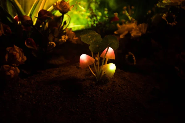 Três Cogumelos Brilhantes Fantasia Mistério Floresta Escura Close Belo Tiro — Fotografia de Stock