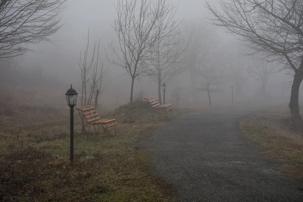Empty Bench Park Pond Foggy Day Minimalistic Cold Season Scene — Stock Photo, Image
