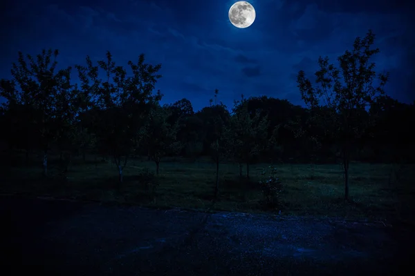 Гірська Дорога Через Ліс Повний Місяць Нічний Пейзаж Темно Синього — стокове фото