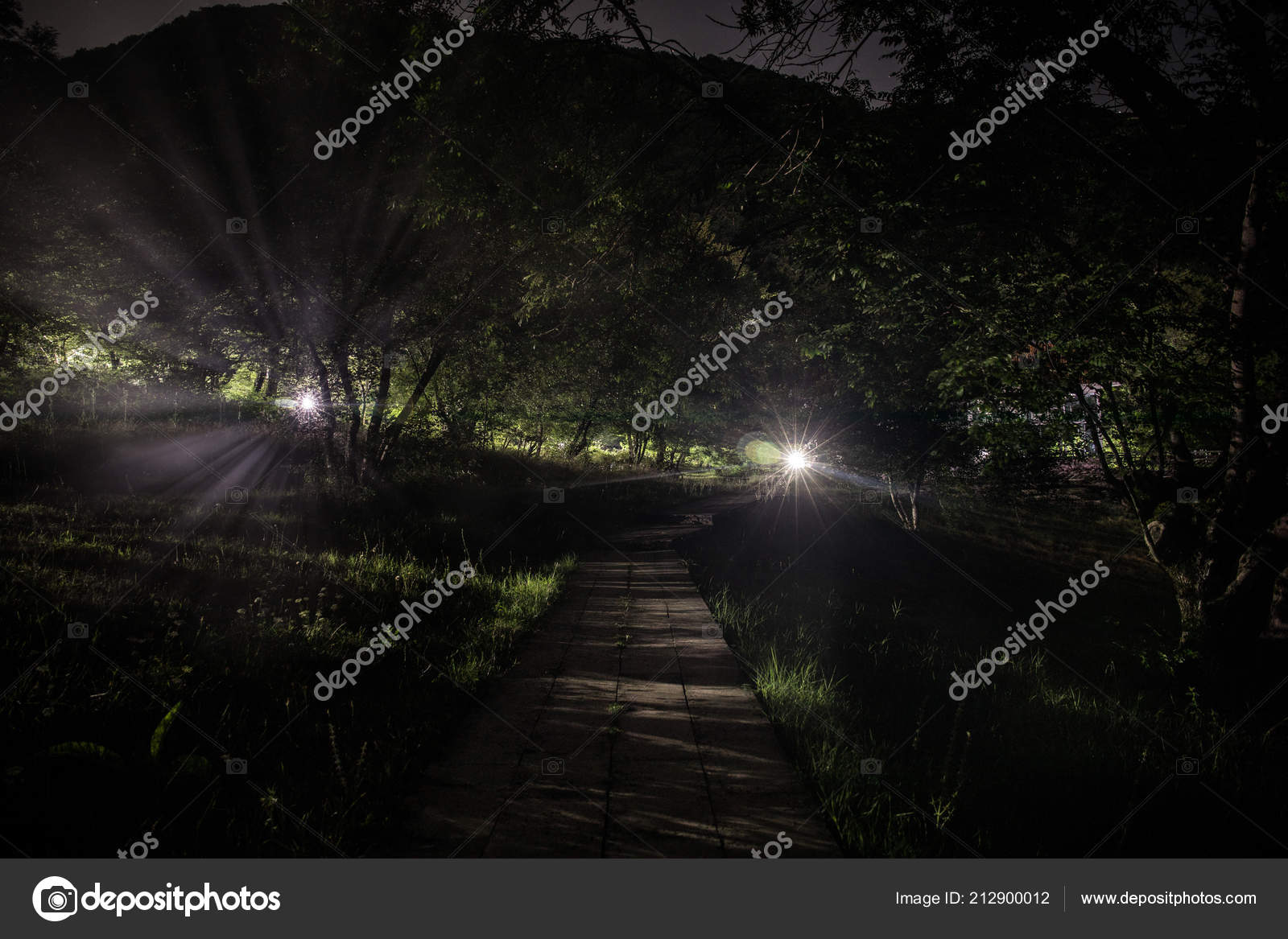 Beautiful Night Landscape Starry Night Mountains Forest Night Forest Green Stock Photo Image By C Zeferli Gmail Com Beautiful Night Landscape Starry Night Mountains Forest Night Forest Green Stock Photo Image By C Zeferli Gmail Com