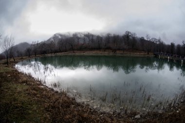 Sis buharlaşır gölet make romantik sahne veya göl ile köprüde güzel ağaçlar sis yansıtmak Gölü, suyla ilgili köprü manzara inanılmaz. Puslu sabah göl üzerinde demir köprü.