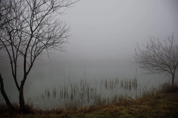 Дивовижний Краєвид Мосту Відображається Поверхневих Водах Озера Туман Випаровується Ставка — стокове фото