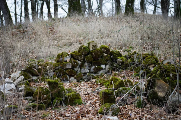 Камень Мохом Красивый Мох Лишайник Покрытый Камнем Ярко Зеленый Мох — стоковое фото