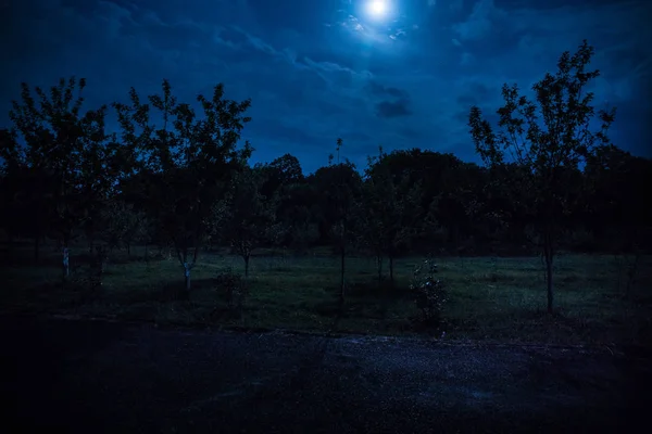 Dolunay Gecesi Ormanın Içinden Geçen Dağ Yolu Koyu Mavi Gökyüzü — Stok fotoğraf