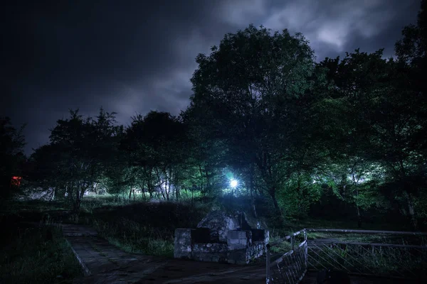 Mountain Road Door Het Bos Een Volle Maan Nacht Scenic — Stockfoto