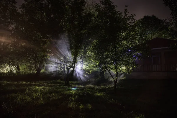 Paysage Nocturne Montagne Construction Forêt Nuit Avec Lune Maison Campagne — Photo